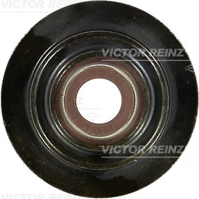 Seal Ring, valve stem